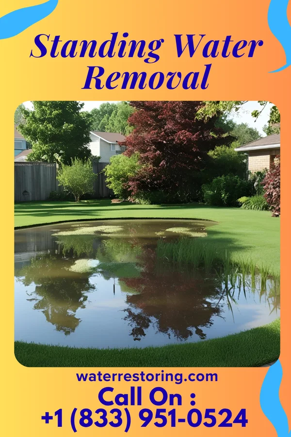 Standing Water Removal in Leadington, MO